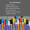 image:imageSAKURA Solid Paint Markers  12 Assorted Permanent Marker Paint Pens  2 Black 7 Assorted Colors amp 3 Fluorescent Pens  For Window Wood amp Glass  12 Pack