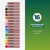 image:imageSAKURA Cray Pas Expressionist Oil Pastels Assorted Colors 16Pack 16 Color Set