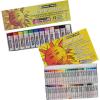 image:imageSAKURA CrayPas Junior Artist Oil Pastel Set  Chubbies Pastel Size  Soft Oil Pastels for Kids amp Artists  12 Colors amp Soft Oil Pastels for Kids amp Artists  50 Sticks